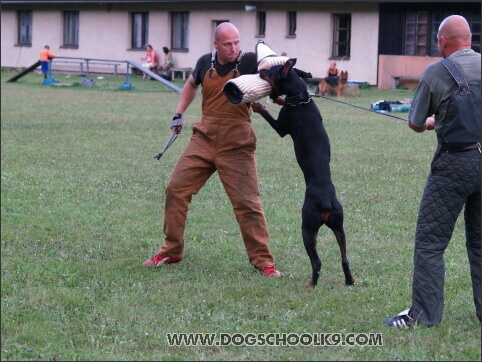 Training camp - Lukova 2007